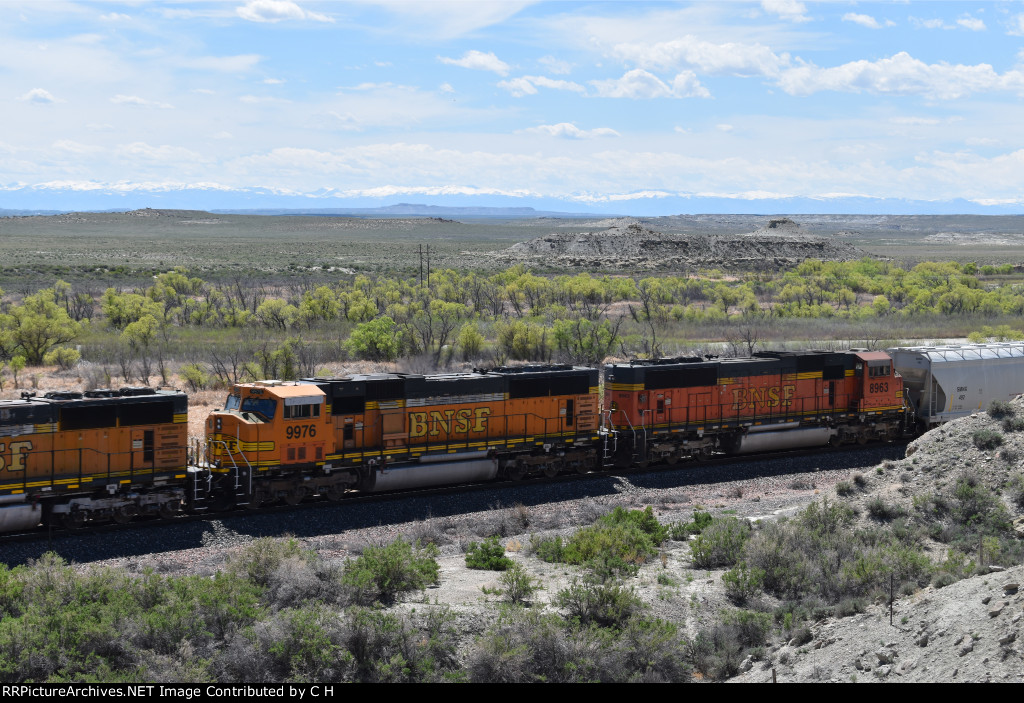 BNSF 9976/8963